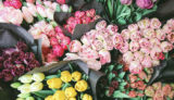 美のはなし。298円の花束と村上隆のお花