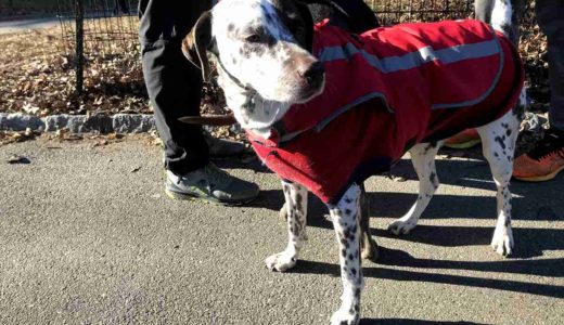 下のソーシャルリンクからフォロー