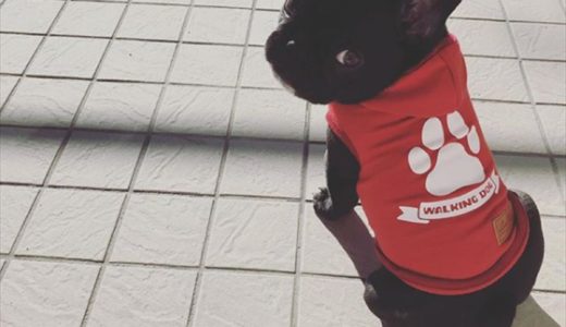 下のソーシャルリンクからフォロー