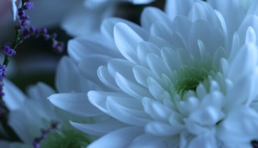 下のソーシャルリンクからフォロー