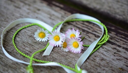 下のソーシャルリンクからフォロー